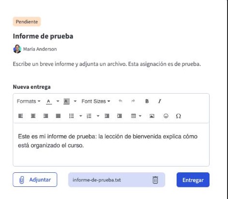 Asignación con el texto de la entrega escrito, un archivo adjunto y el botón Entregar